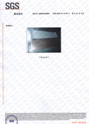 午夜福利免费网站檢查報告SGS（中）